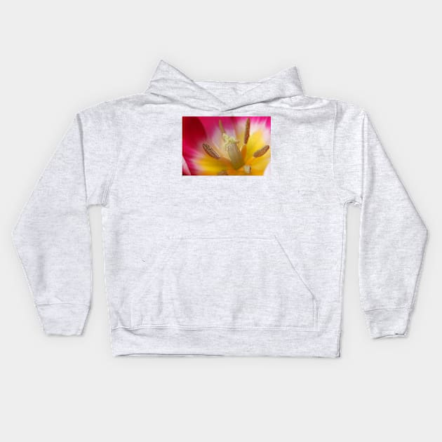 Tulipa 'Ballade' AGM Tulip Lily-flowered Group April  Artistic filter applied to photo Kids Hoodie by chrisburrows